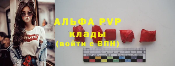 сатива Алзамай