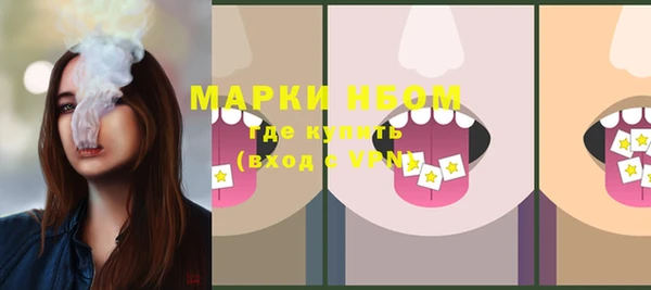 стафф Аркадак