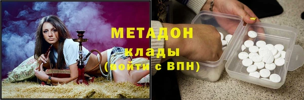 сатива Алзамай